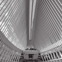 NYC-20240204163.jpg