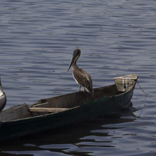 Panama-USA-20240122049.jpg
