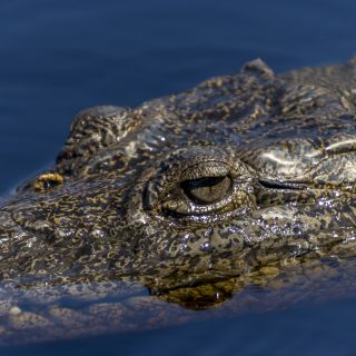 Panama-USA-20240123060.jpg