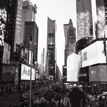 NYC-20240203010.jpg