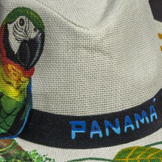 Panama-USA-20240117014.jpg