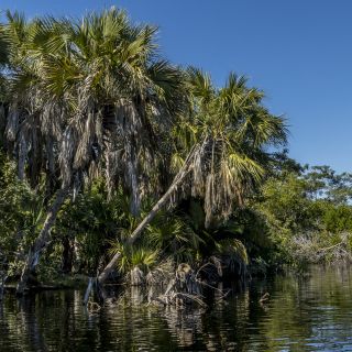 Panama-USA-20240123059.jpg