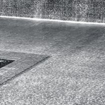 NYC-20240204156.jpg
