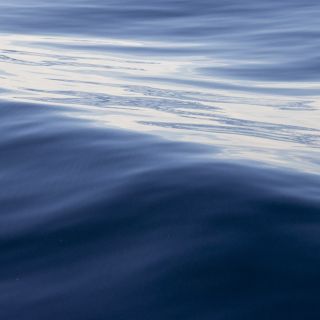 Panama-USA-20240128121.jpg