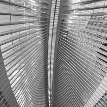 NYC-20240204162.jpg