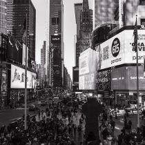 NYC-20240203011.jpg