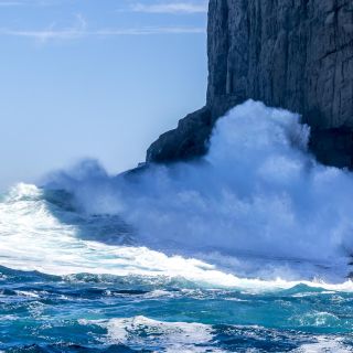 neuseeland-web-220.jpg