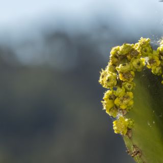 Panama-USA-20240130145.jpg