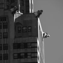 NYC-20240205208.jpg