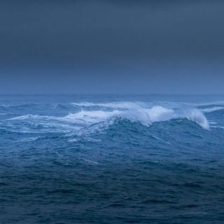 Panama-USA-20240201168.jpg