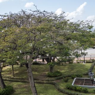 Panama-USA-20240117024.jpg