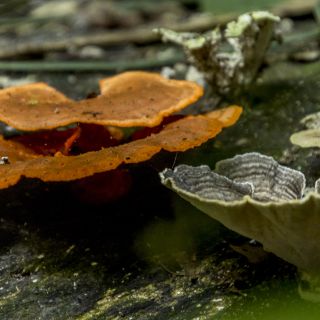 Panama-USA-20240119034.jpg