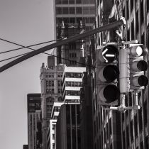 NYC-20240205241.jpg