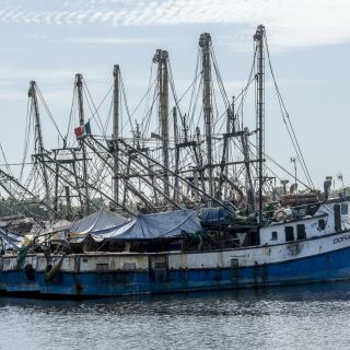 Panama-USA-20240122045.jpg
