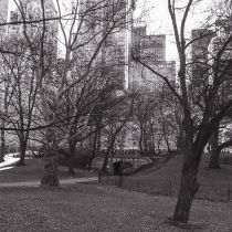 NYC-20240203042.jpg