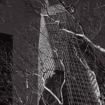 NYC-20240205234.jpg