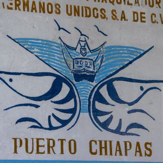 Panama-USA-20240122040.jpg