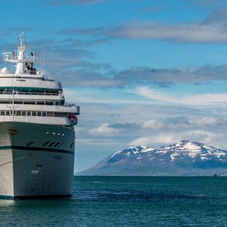 20220716-amadea-47.jpg