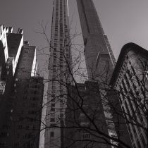 NYC-20240203039.jpg