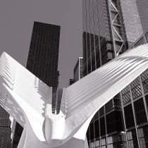 NYC-20240204161.jpg