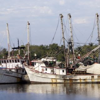 Panama-USA-20240122048.jpg