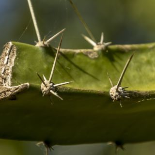 Panama-USA-20240123070.jpg