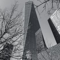NYC-20240204160.jpg