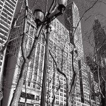 NYC-20240205249.jpg