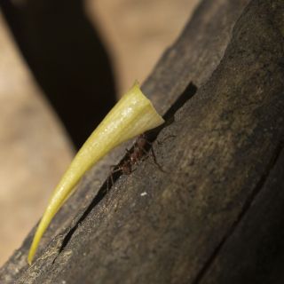 Panama-USA-20240119035.jpg