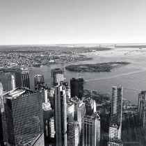 NYC-20240204165.jpg