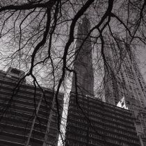 NYC-20240203041.jpg